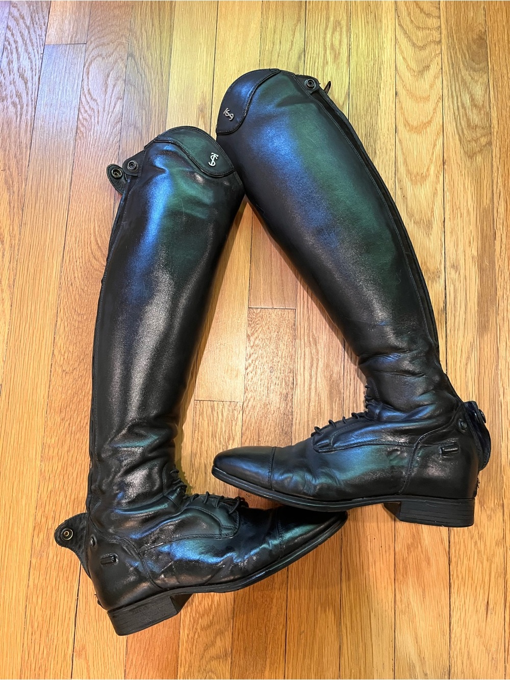 Tredstep Medici II Tall Boots